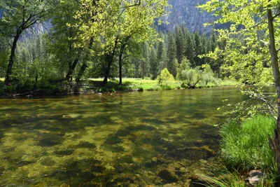 DSC_4343 (Large).JPG